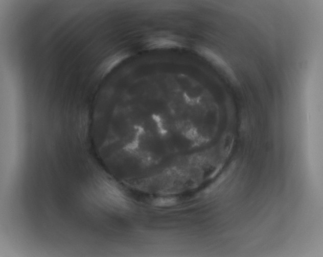 X0000113851313200909241239