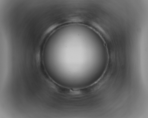 X0000113851315200909241239