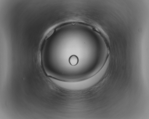 X0000113851320200909241239