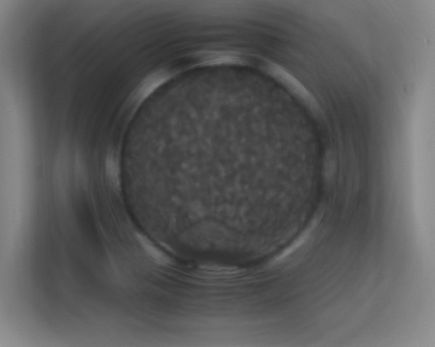 X0000113851321200909241239