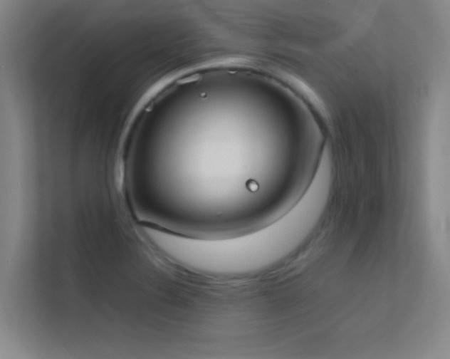 X0000113851324200909241239