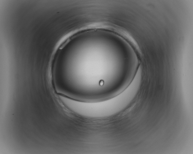 X0000113851328200909241239