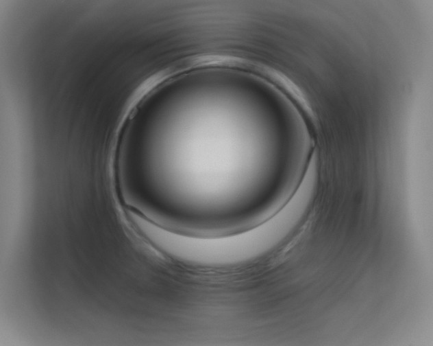 X0000113851330200909241239