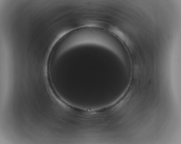 X0000113851331200909241239