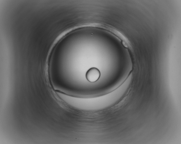 X0000113851332200909241239