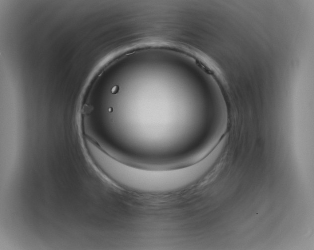 X0000113851334200909241239