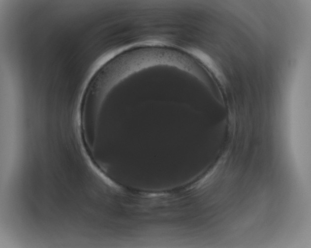 X0000113851335200909241239