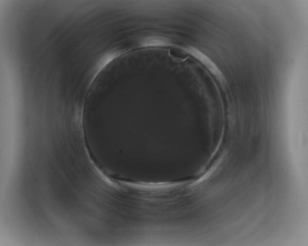 X0000113851337200909241240