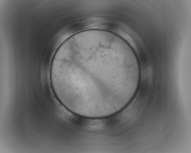 X0000113851338200909241240