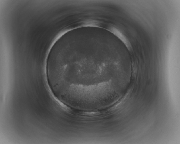 X0000113851339200909241240