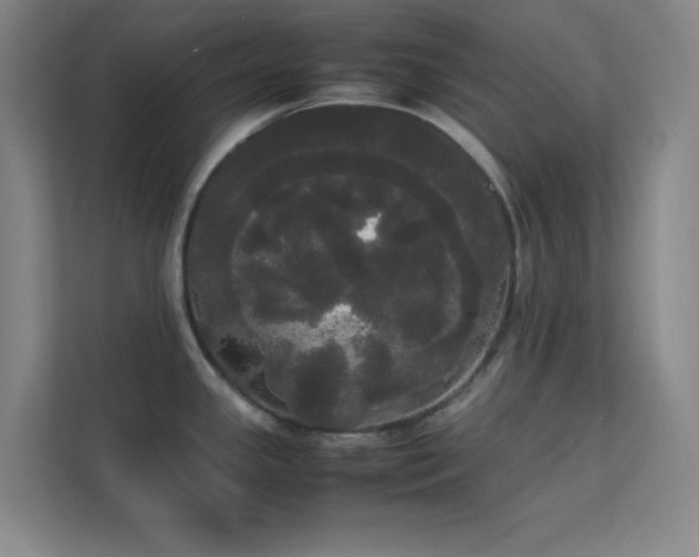 X0000113851341200909241240