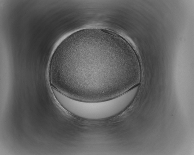 X0000113851344200909241240