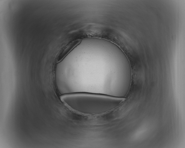 X0000113851345200909241239