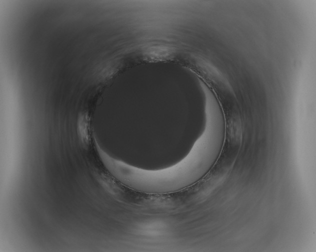 X0000113851346200909241239