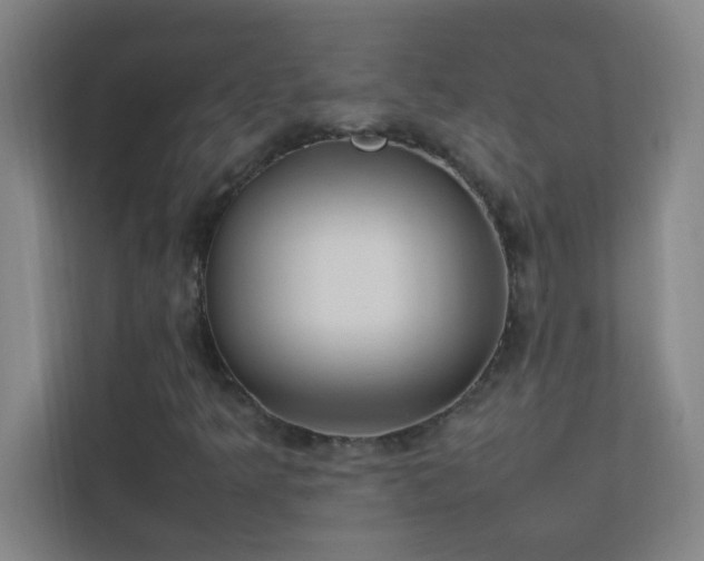 X0000113851349200909241239