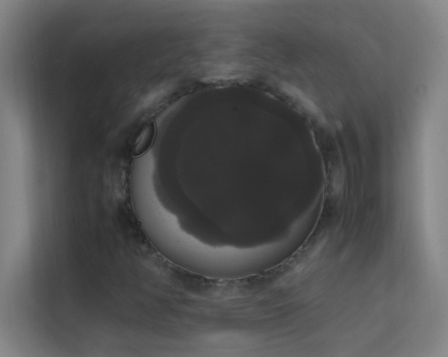 X0000113851350200909241239