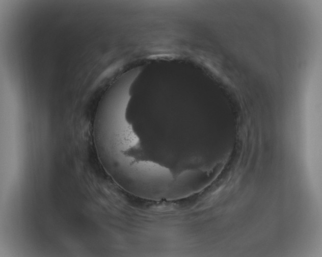 X0000113851351200909241239