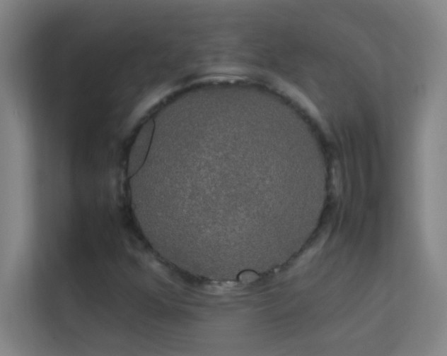 X0000113851352200909241239