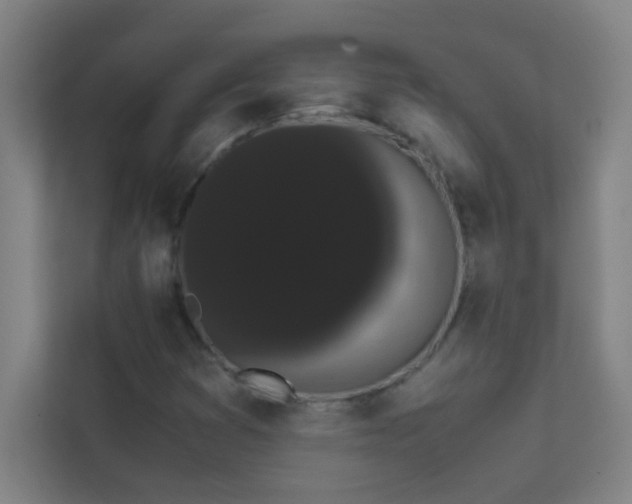 X0000113851353200909241239