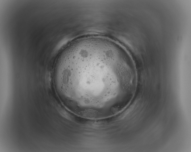 X0000113851355200909241239