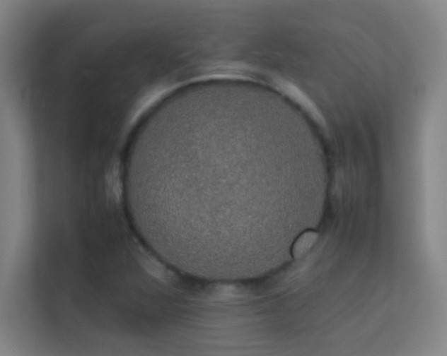 X0000113851360200909241239