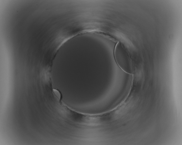 X0000113851361200909241239