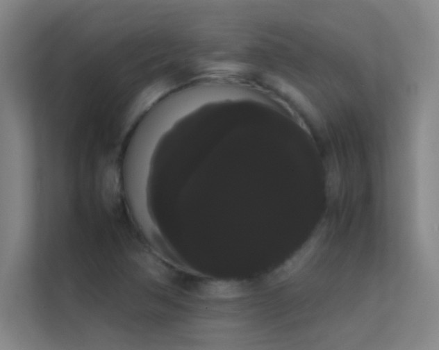 X0000113851362200909241239