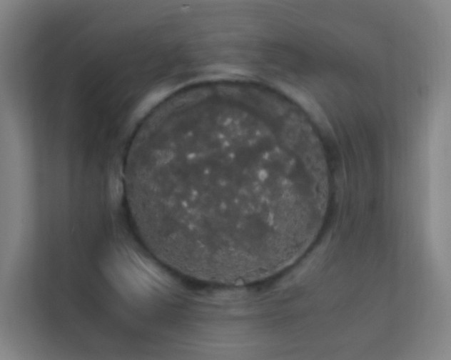 X0000113851363200909241239