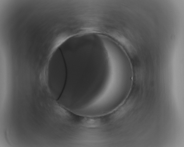 X0000113851365200909241239