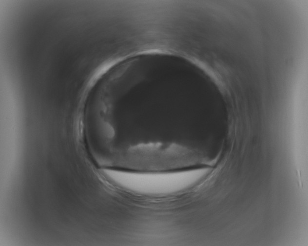 X0000113851367200909241239