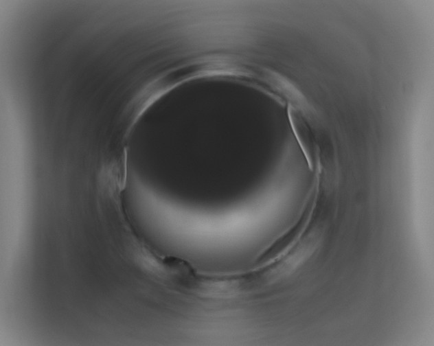 X0000113851369200909241239