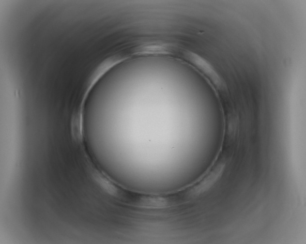 X0000113851370200909241239