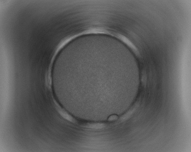 X0000113851372200909241239