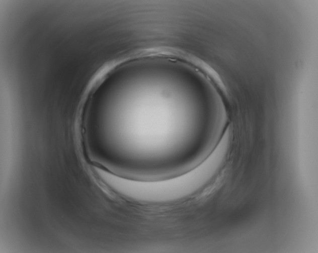 X0000113851373200909241239