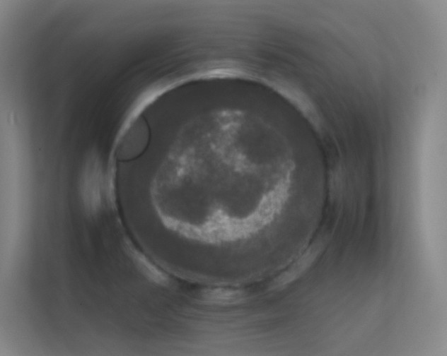 X0000113851374200909241239