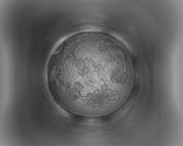 X0000113851375200909241239