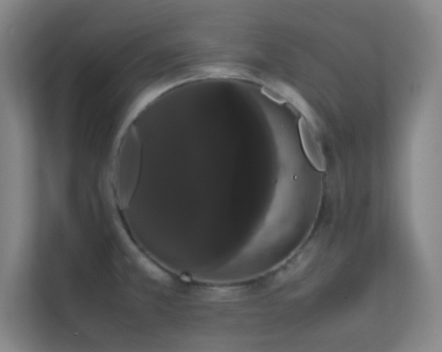 X0000113851381200909241239