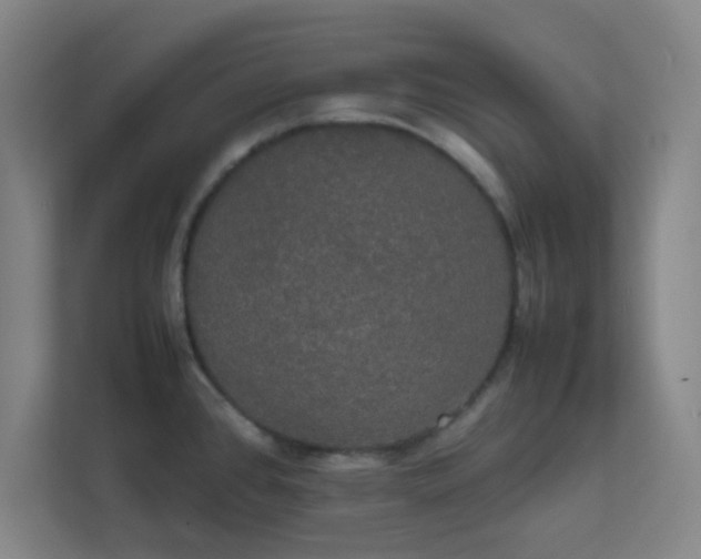 X0000113851384200909241238