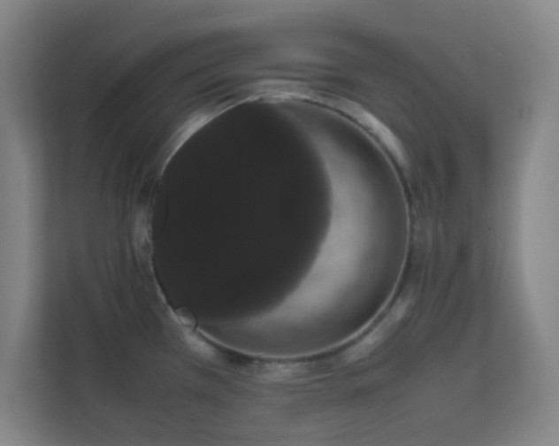 X0000113851385200909241238