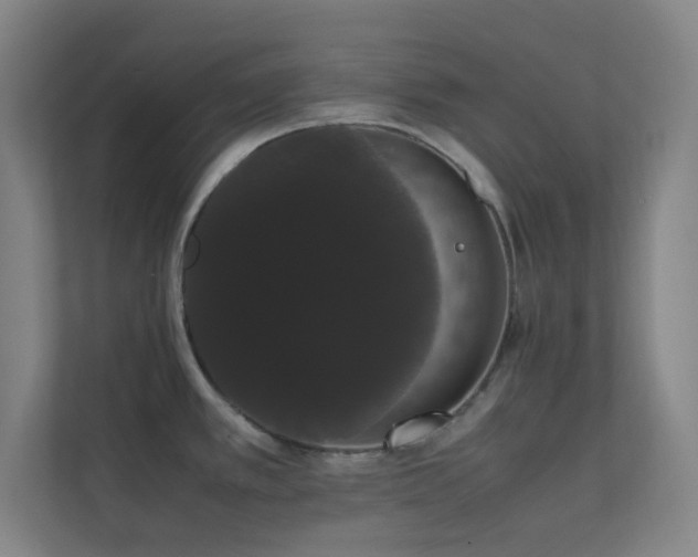 X0000113851389200909241238