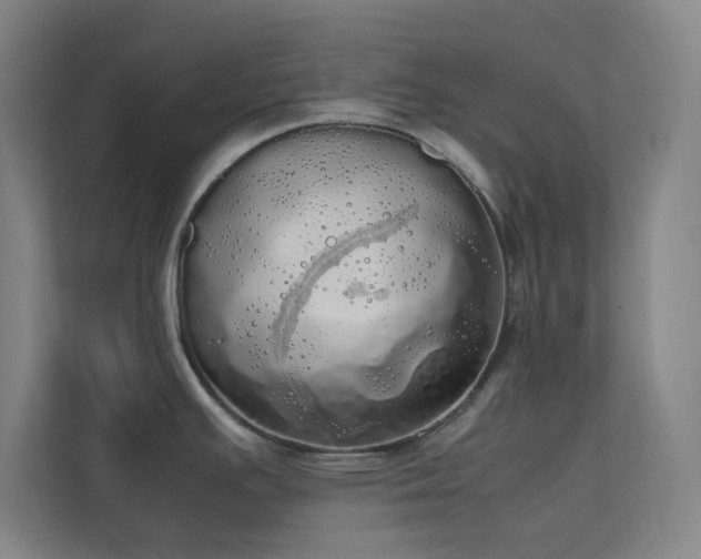 X0000113851391200909241238