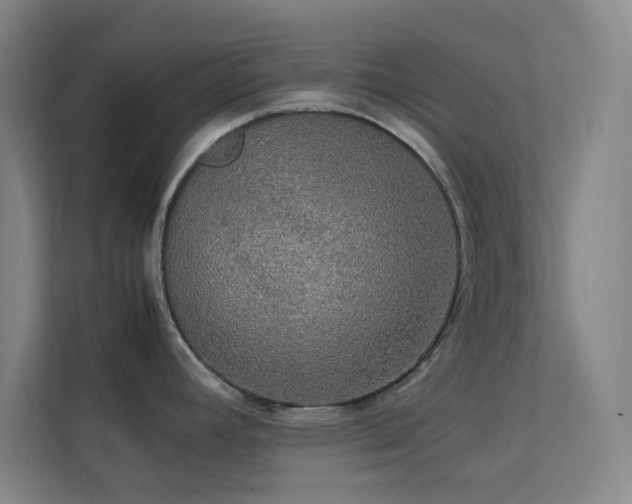 X0000113851392200909241238