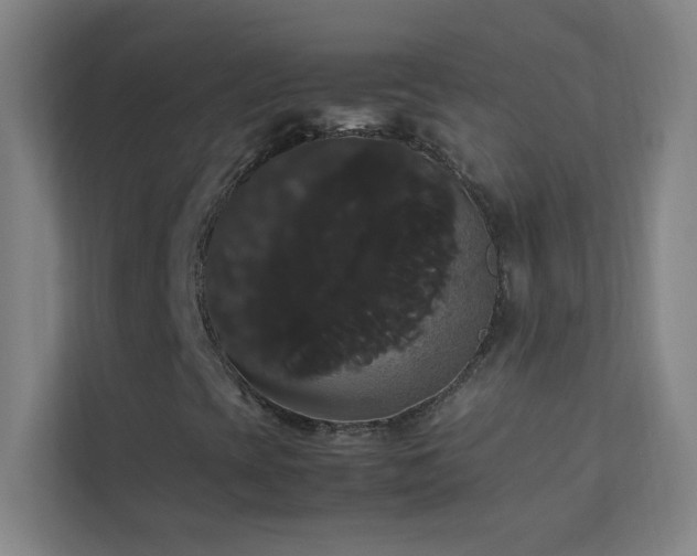 X0000113851393200909241238