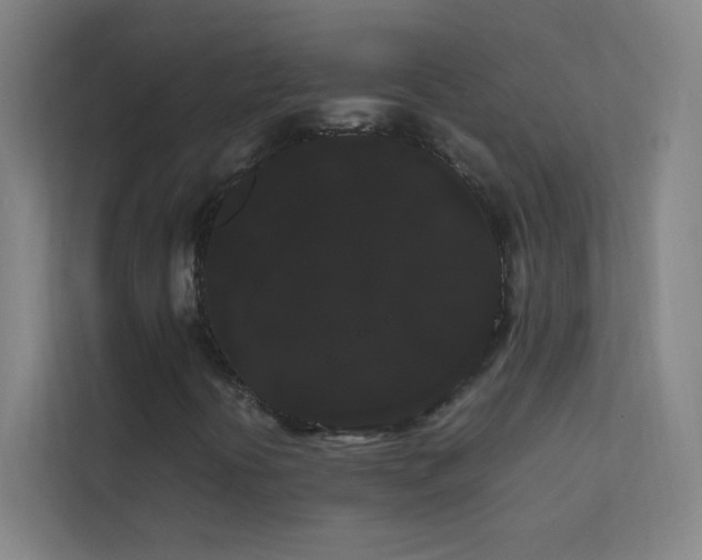 X0000113851394200909241238