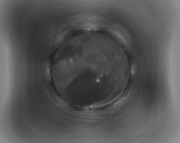 X0000113851396200909241238