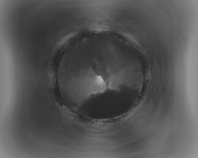 X0000113851398200909241238