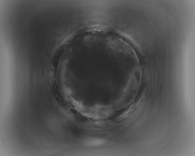 X0000113851399200909241238