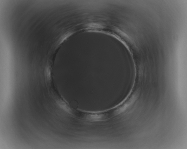 X0000113851401200909241238