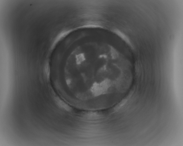 X0000113851408200909241238