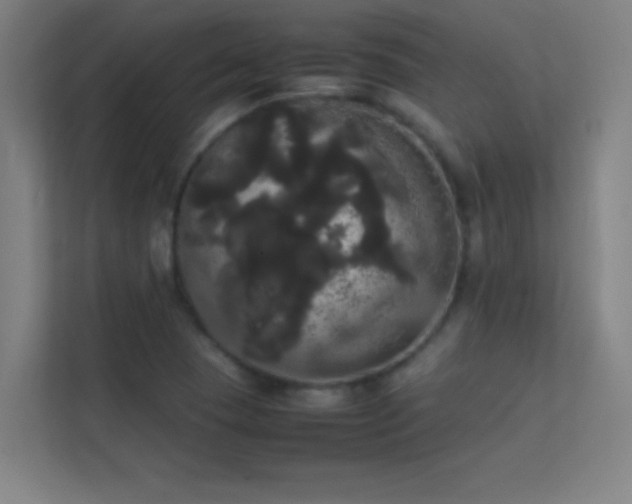 X0000113851409200909241238